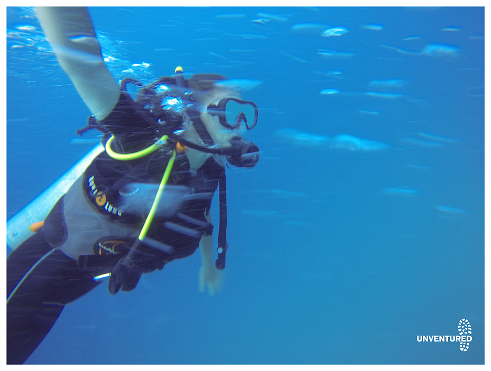 Andaman Scuba Dive Tour