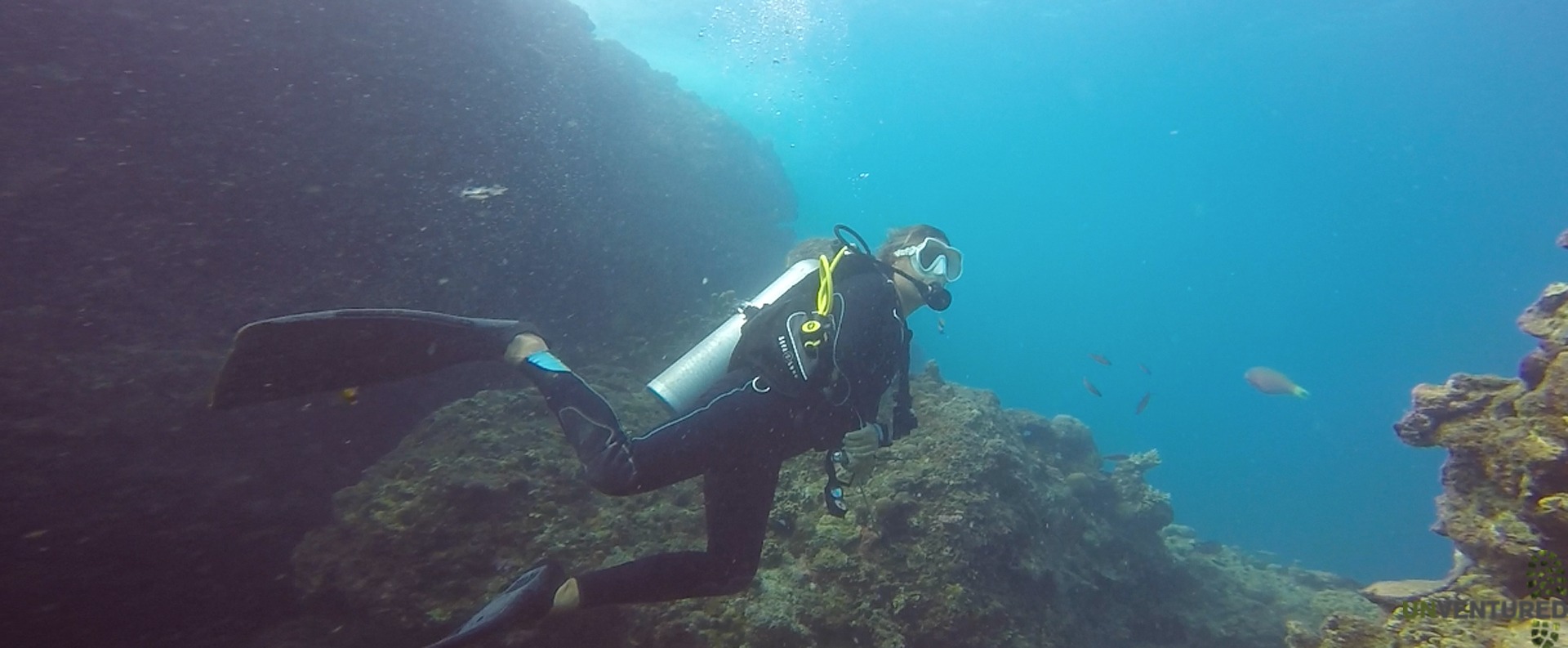 Andaman Adventure Tour Scuba Dive Certification Tour Unventured